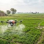 India Moves Toward State-Specific Farm Policies to Boost Productivity