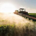 Global Fertilizer Prices Set to Rise by 15–20% in 2026, Raising Concerns for Farmers