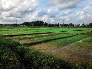 Global Farming Systems ‘Pushed to the Brink’ by Extreme Climate Events