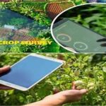 USDA Expands Crop Survey Coverage to Strengthen Farm Data and Forecasting