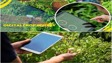 USDA Expands Crop Survey Coverage to Strengthen Farm Data and Forecasting