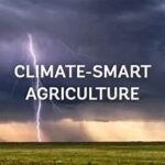 World Bank Identifies Key Climate-Smart Agriculture Technologies Shaping 2026