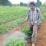 India Proposes New Pesticide Rules to Strengthen Safety and Residue Standards