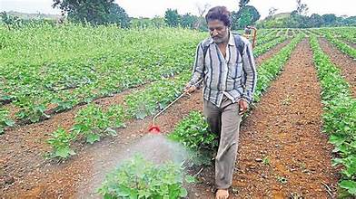 India Proposes New Pesticide Rules to Strengthen Safety…
