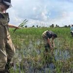 Agricultural Expansion Into Grasslands and Wetlands Accelerates, Threatening Carbon Sinks and Biodiversity