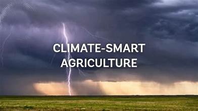 World Bank Identifies Key Climate-Smart Agriculture Technologies Shaping…