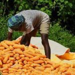Heatwave Alert Raises Concerns Over Rabi Harvest and Farm Output