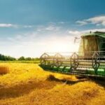 Russia’s Wheat Export Outlook Improves on Strong Demand and Better Harvest Prospects