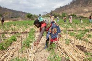 Global Food Security Concerns Persist Amid Climate and&hellip;