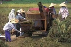 Global Agricultural Research Investment Crosses $50 Billion, FAO&hellip;
