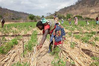 Global Food Security Concerns Persist Amid Climate and&hellip;