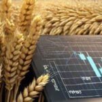 Global Wheat Prices Surge Nearly 30% Amid Drought and Input Crisis