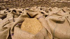 Wheat Prices Surge as Severe Drought Threatens Global&hellip;