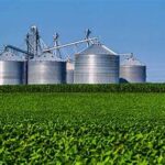 Global Fertilizer Shortage Raises Serious Food Security Concerns