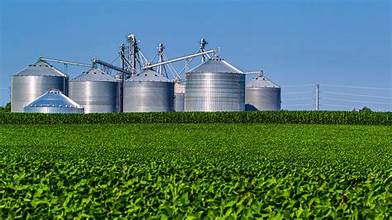 Global Fertilizer Shortage Raises Serious Food Security Concerns