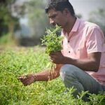 Rising Demand for Medicinal Crops Opens New Income Opportunities for Farmers