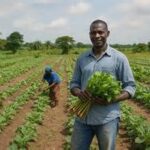 Extreme Heat Threatens Global Agriculture Systems, FAO and WMO Warn
