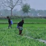 Iran Conflict Disrupts Fertilizer and Food Supply Chains Across Asia