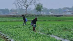 Iran Conflict Disrupts Fertilizer and Food Supply Chains&hellip;