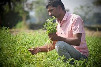 Rising Demand for Medicinal Crops Opens New Income&hellip;
