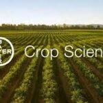 Bayer Reports Strong Quarterly Performance Driven by Crop Science Growth