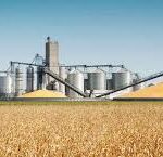 Biofuel Boom Lifts Agribusiness Profits Amid High Oil Prices