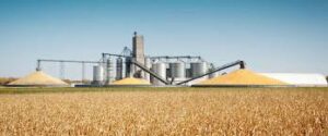 Biofuel Boom Lifts Agribusiness Profits Amid High Oil&hellip;