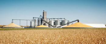 Biofuel Boom Lifts Agribusiness Profits Amid High Oil&hellip;