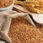 Global Grain Production Forecast Cut for 2026-27 Season
