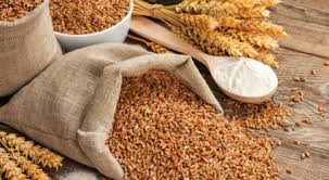 Global Grain Production Forecast Cut for 2026-27 Season