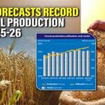 Global Cereal Production Forecast Reaches Record Level: FAO