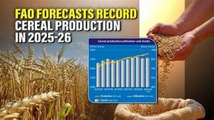 Global Cereal Production Forecast Reaches Record Level: FAO