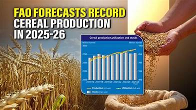 Global Cereal Production Forecast Reaches Record Level: FAO