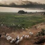 Climate Change Pushing Global Food Systems to the Brink