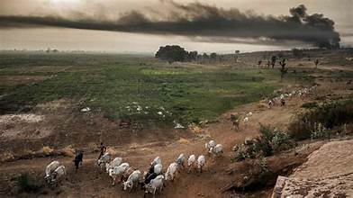 Climate Change Pushing Global Food Systems to the&hellip;