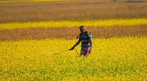 Global Fertilizer Prices Surge Amid Supply Chain Disruptions&hellip;