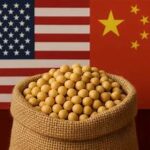 Soybean Markets Rally on Hopes of Stronger China Trade