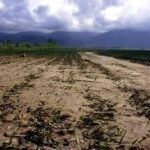 Climate Crisis Poses Growing Threat to Global Food Systems, Report Warns