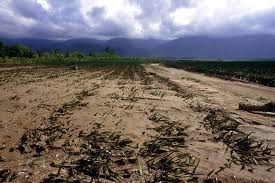 Climate Crisis Poses Growing Threat to Global Food&hellip;
