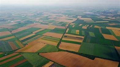 Climate Change Emissions from Croplands Under Global Scrutiny