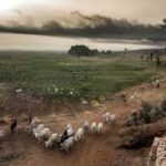 Climate Crisis Threatens Global Food Systems as Crop Yields Decline