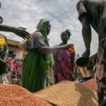 New FAO-Led Report Warns of Rising Hunger and Agriculture Financing Crisis in Africa