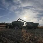 South Africa Nears Record Corn Harvest Amid Favorable La Niña Conditions