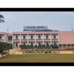ICAR–IARI Gains Global Recognition for Agricultural Innovation