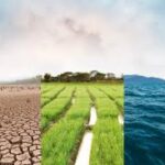 Global Crop Emissions Face Growing Scrutiny as New Research Highlights Climate Impact