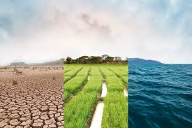 Global Crop Emissions Face Growing Scrutiny as New&hellip;