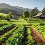 Regenerative Agriculture Gains Global Momentum as Major Food Companies Expand Sustainable Farming Programs
