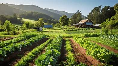 Regenerative Agriculture Gains Global Momentum as Major Food…