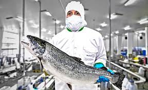 Global Aquaculture Production Crosses 100…