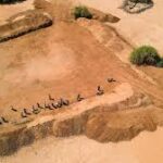 FAO Warns of Potential El Niño Impact on Global Agriculture and Food Security